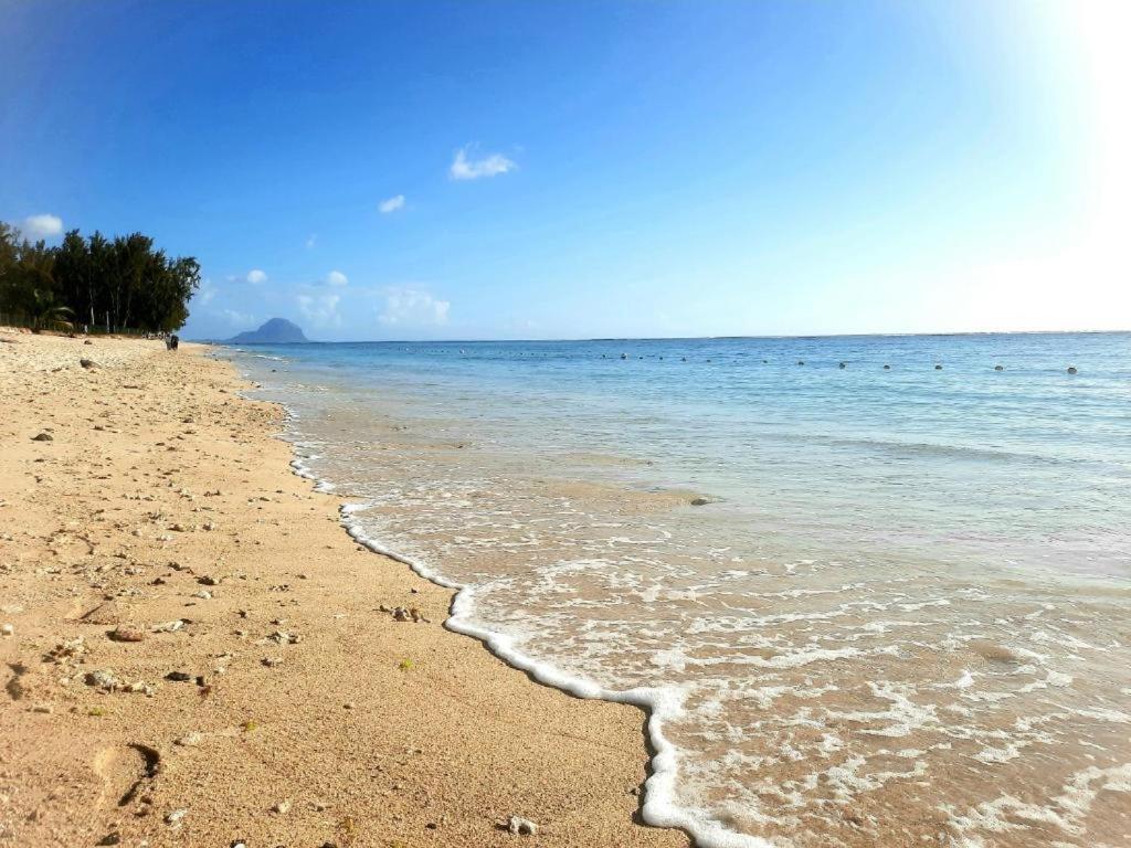 Sunkissed - Brand New Beach Apartment Located 50M From Beach Flic-en-Flacq Esterno foto